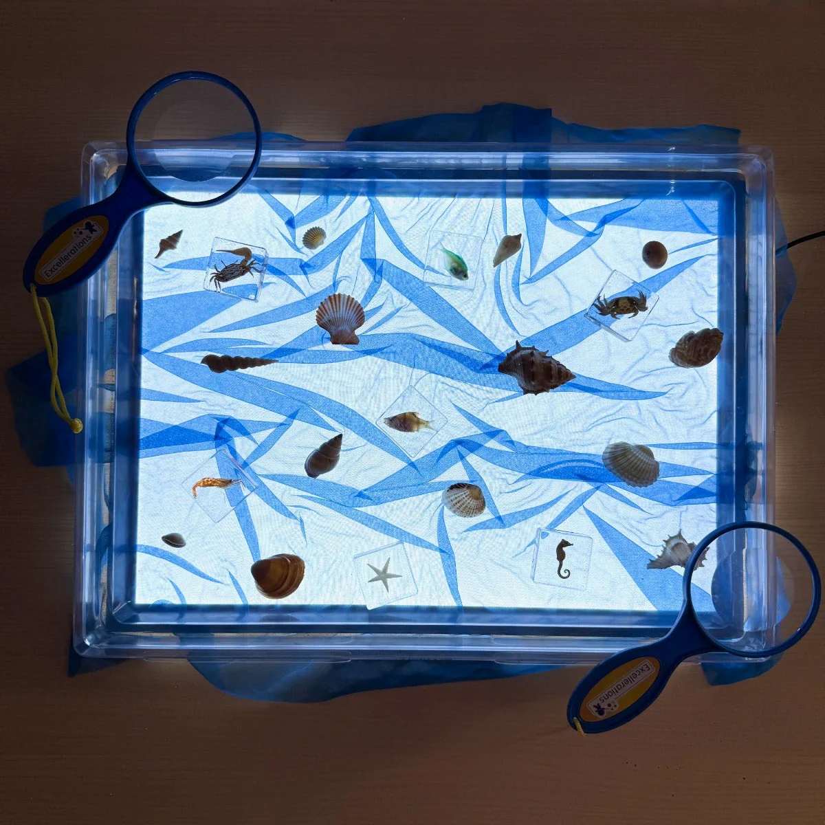 Aquatic Collection - Image 4