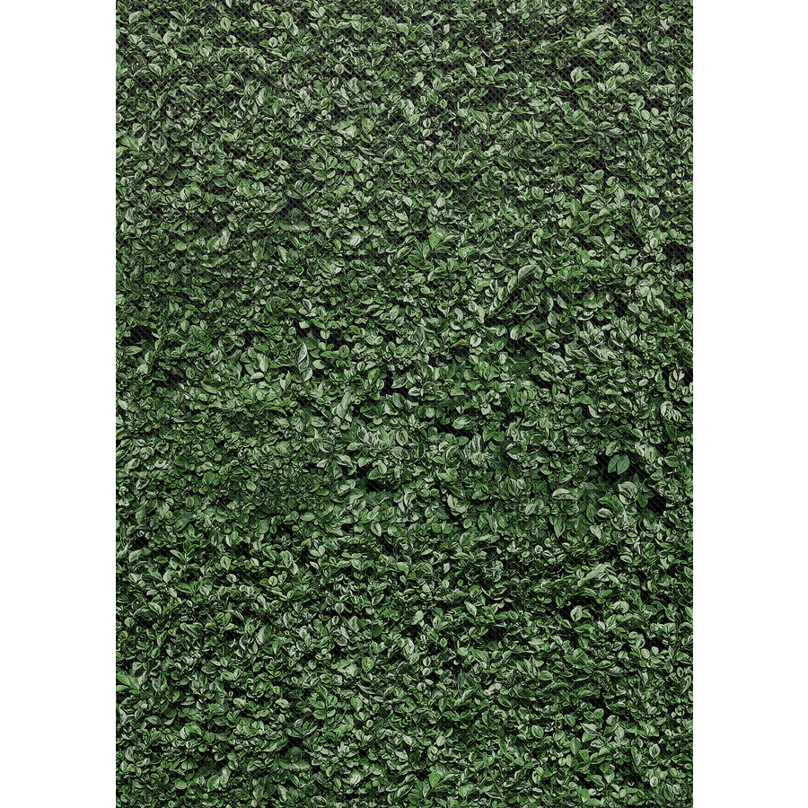Better Than Paper Bulletin Board Roll - Image 54