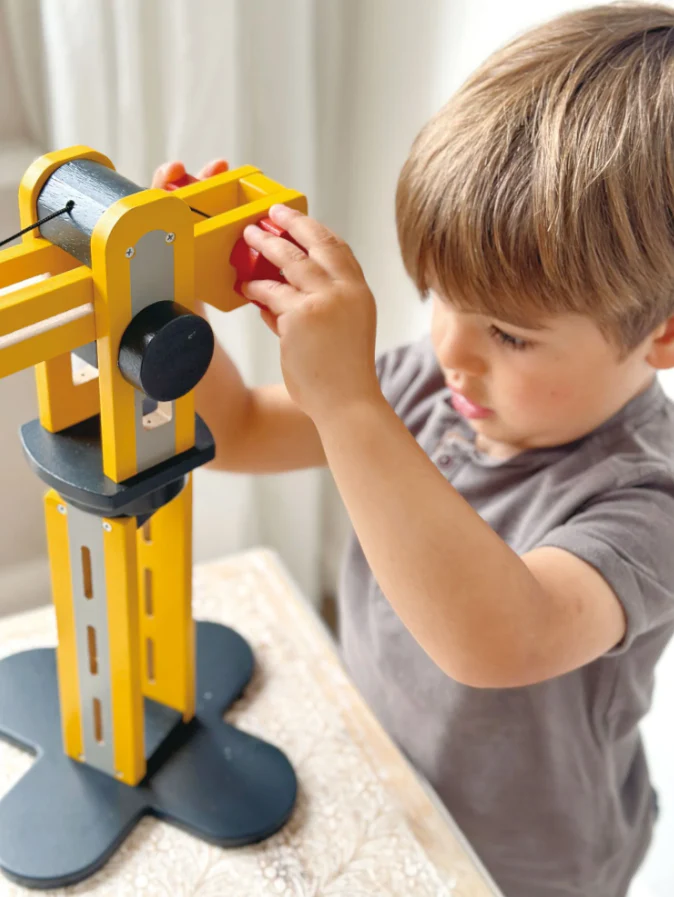 Big Yellow Crane - Image 5