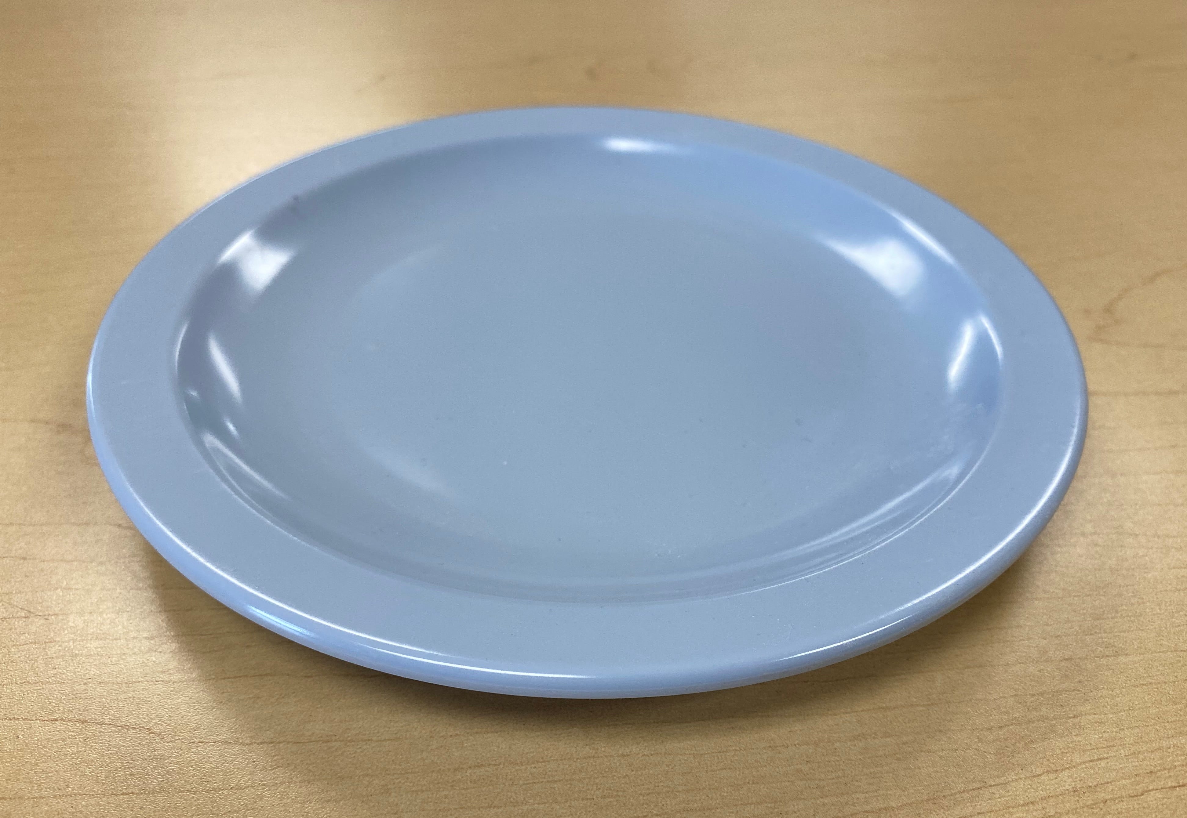 Blue Plate 8in Heavy Duty - Image 2