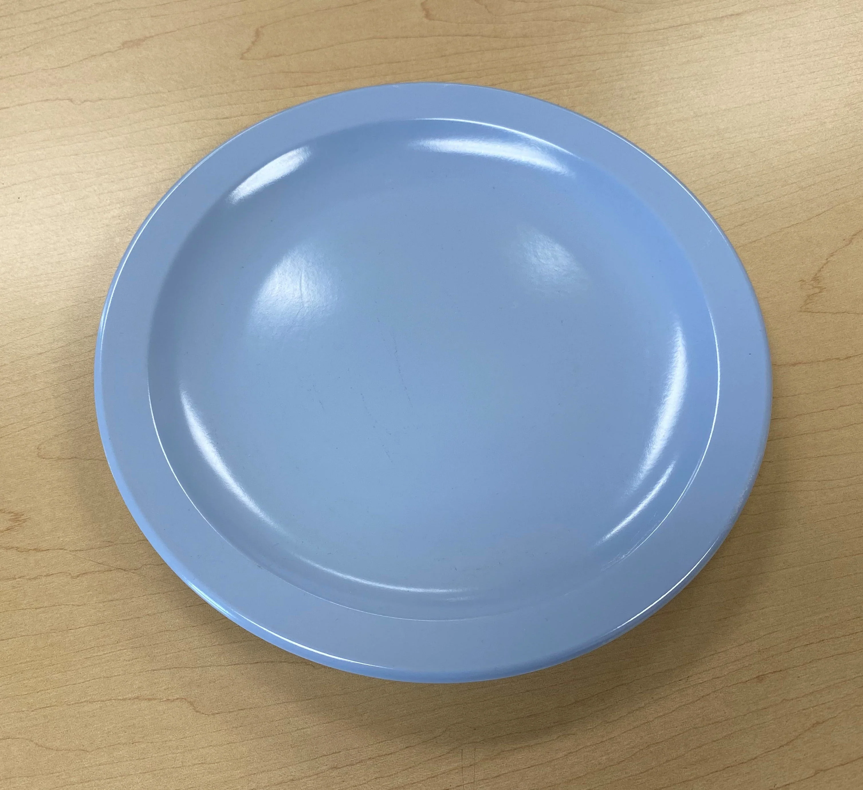 Blue Plate 9in Heavy Duty