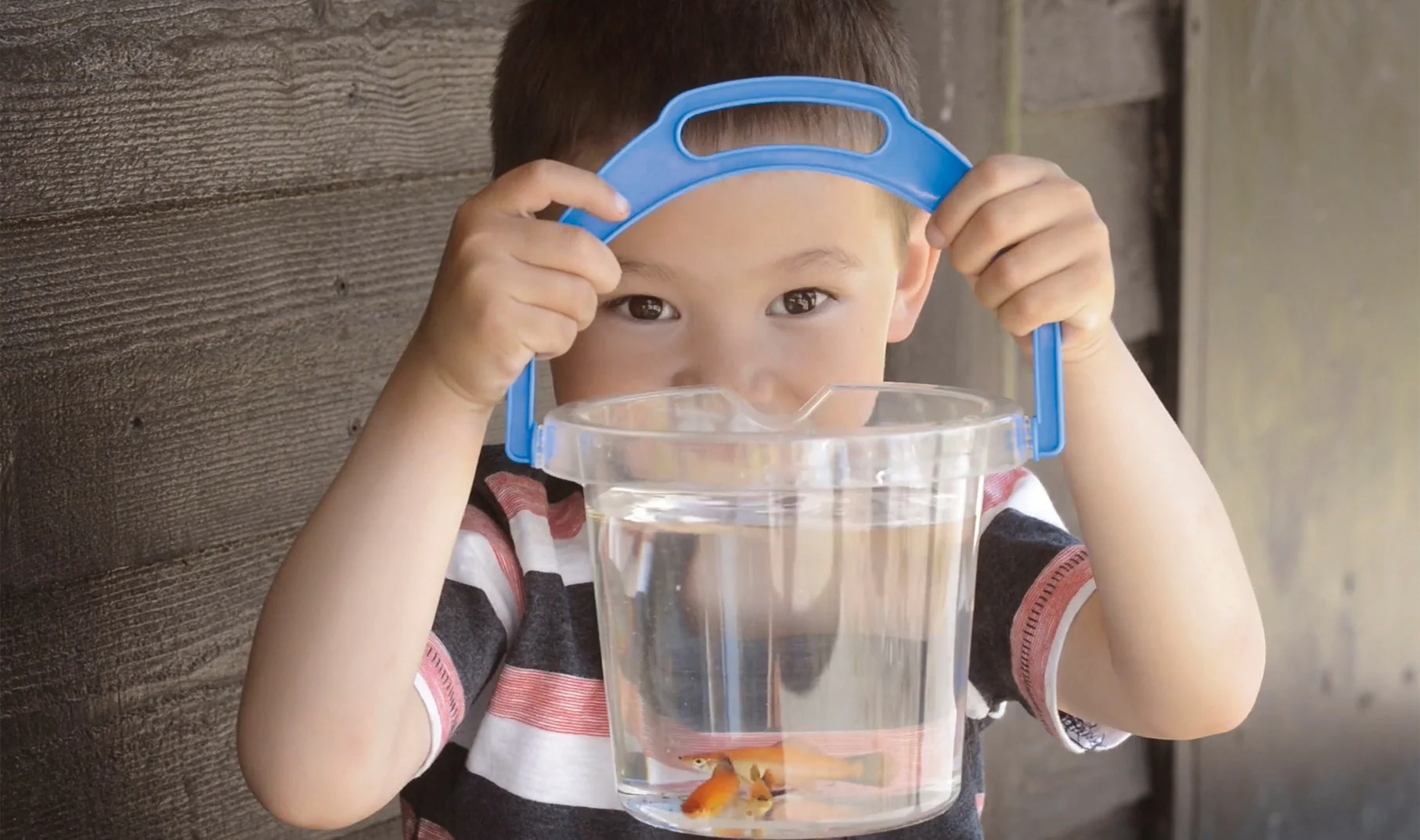 Bucket Transparent Clear - Image 4