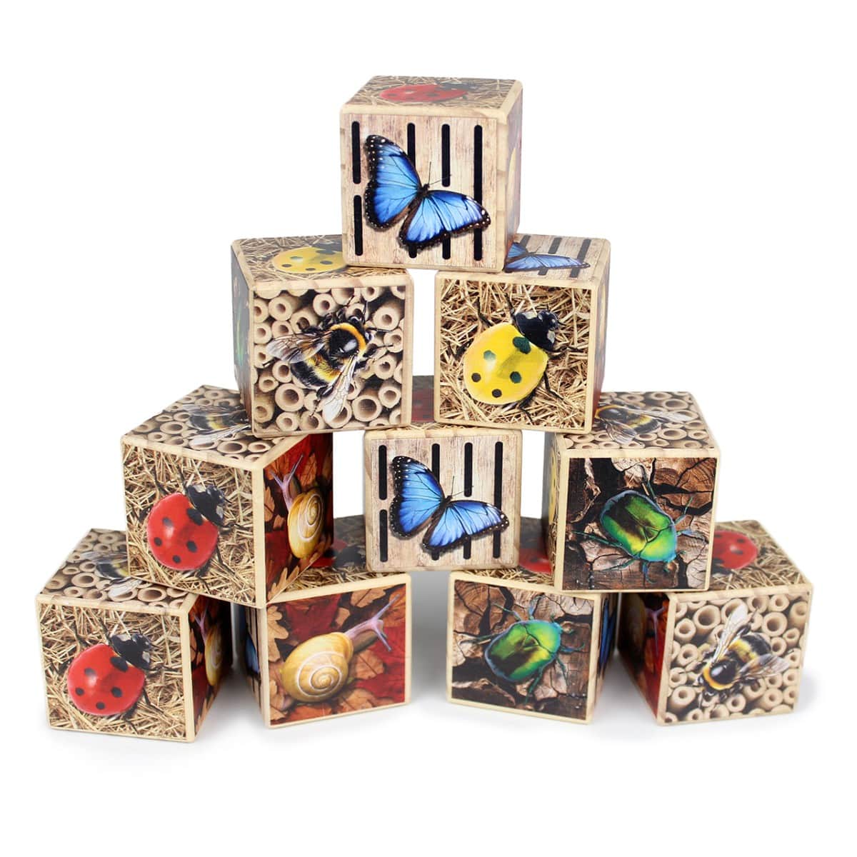 Bug Hotel 10-Frame - Image 6