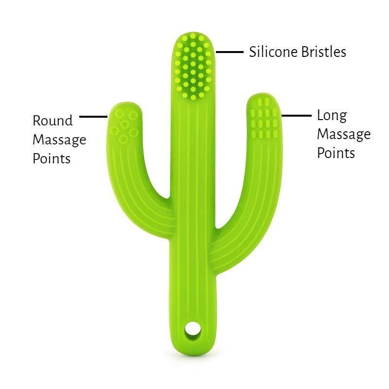 Cactus Toothbrush Teether - Image 2