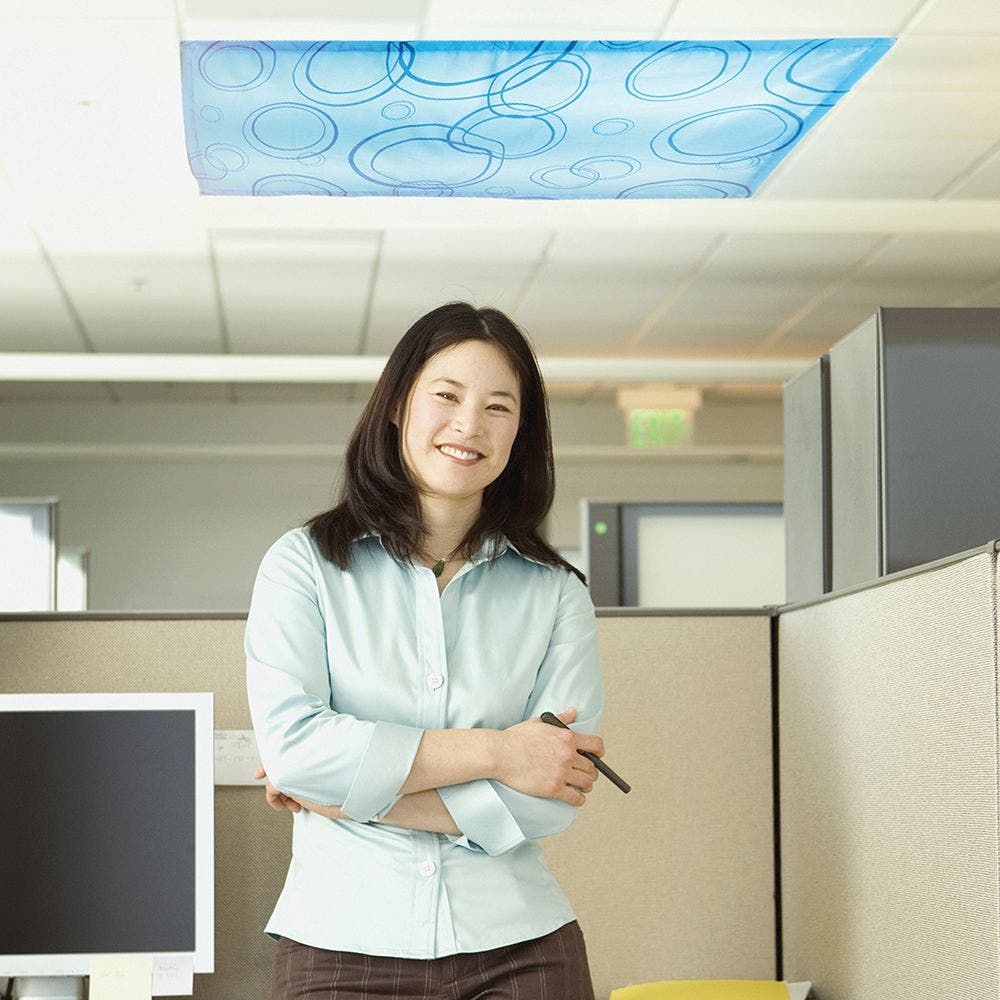 Classroom Fluorescent Light Filters - Image 14