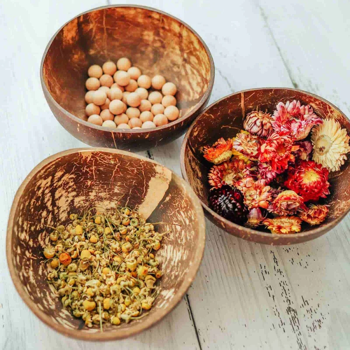 Coconut Bowl - Image 2