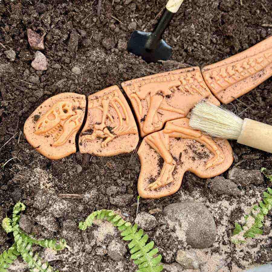 Dig and Discover Ankylosaurus & Tyrannosaurus Rex - Image 2