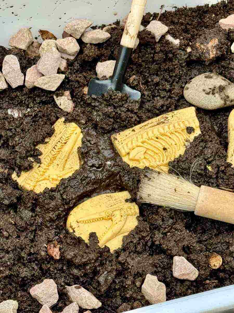 Dig and Discover Pliosaur & Stegosaurus - Image 3