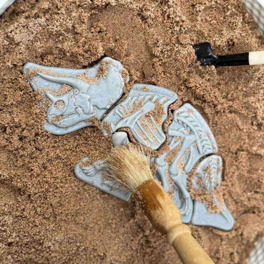 Dig and Discover Triceratops & Spinosaurus - Image 2