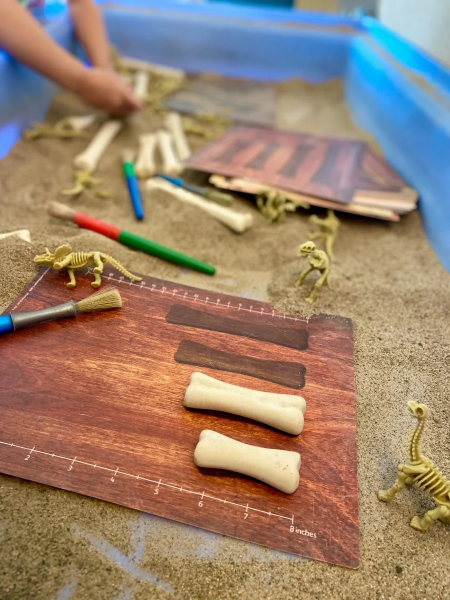 Dinosaur Bones Activity Cards - Image 2