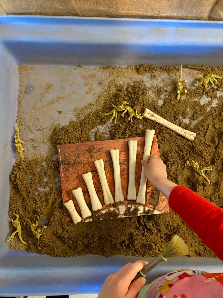 Dinosaur Bones Activity Cards - Image 3