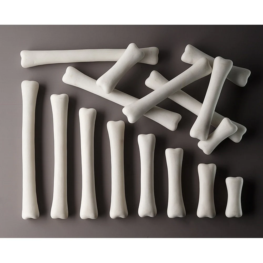 Dinosaur Bones Match and Measure Set