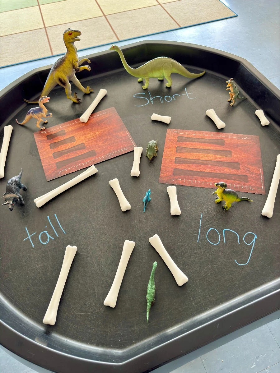 Dinosaur Bones Match and Measure Set - Image 2