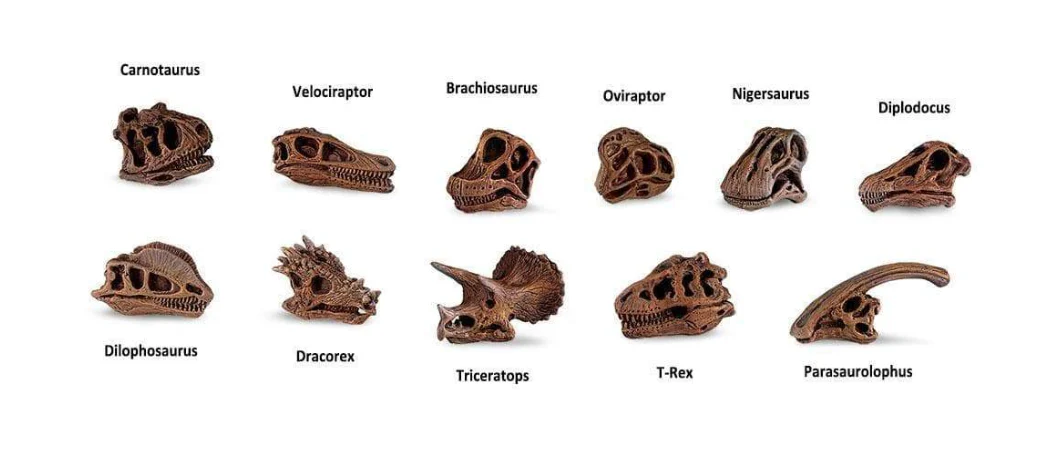 Dinosaur Skulls Toob - Image 2