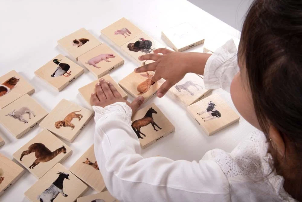 Domestic Animal Family Match - Image 3