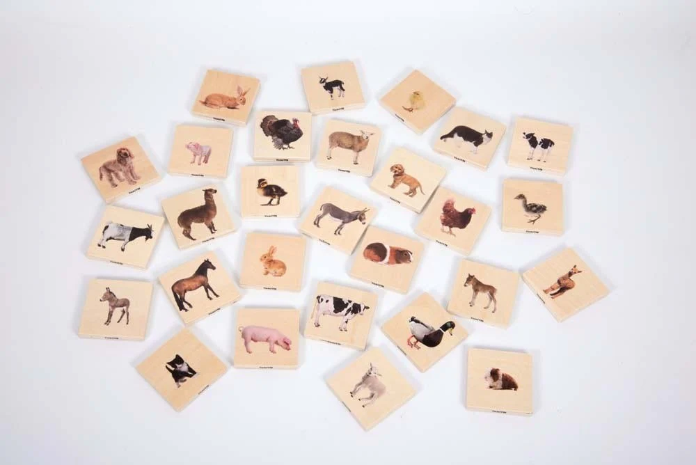 Domestic Animal Family Match - Image 4