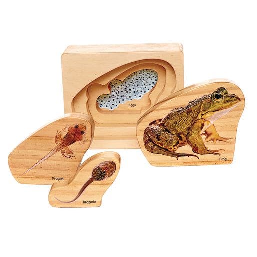 Environments earlySTEM Life Cycles Nesting Puzzles Set of 3 - Image 3