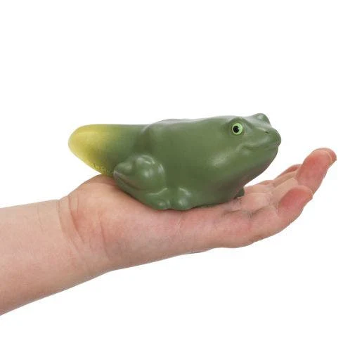 Environments My First Soft Life Cycle Frog - Image 3