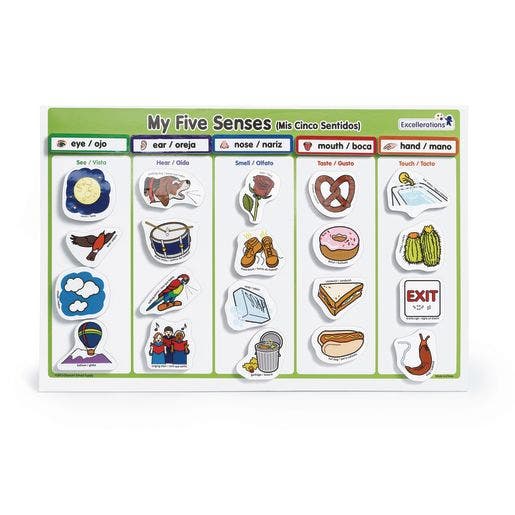 Excellerations My 5 Senses Magnet Activity Set - Image 2