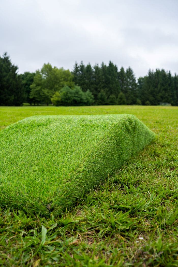 Grass Ramp by Naturally Inspired Play - Image 3