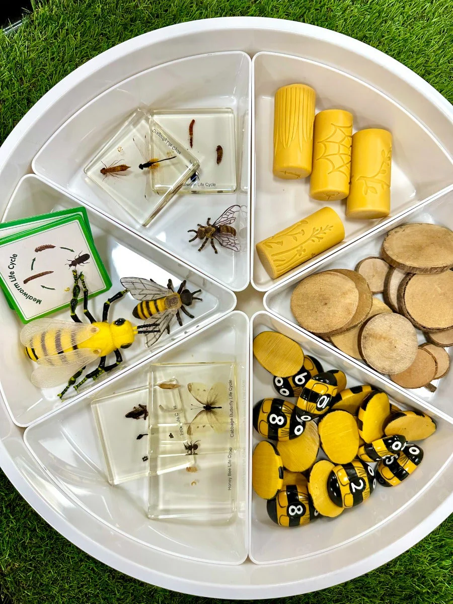 Honey Bee Number Stones - Image 3