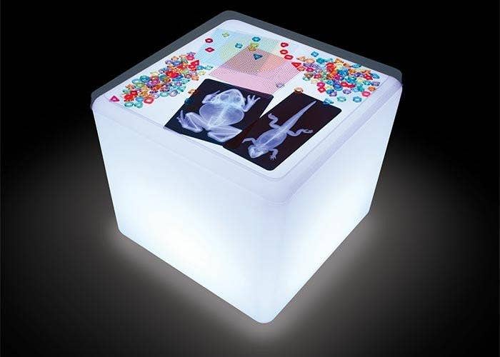 Insect X-Rays and Picture Cards - Image 8
