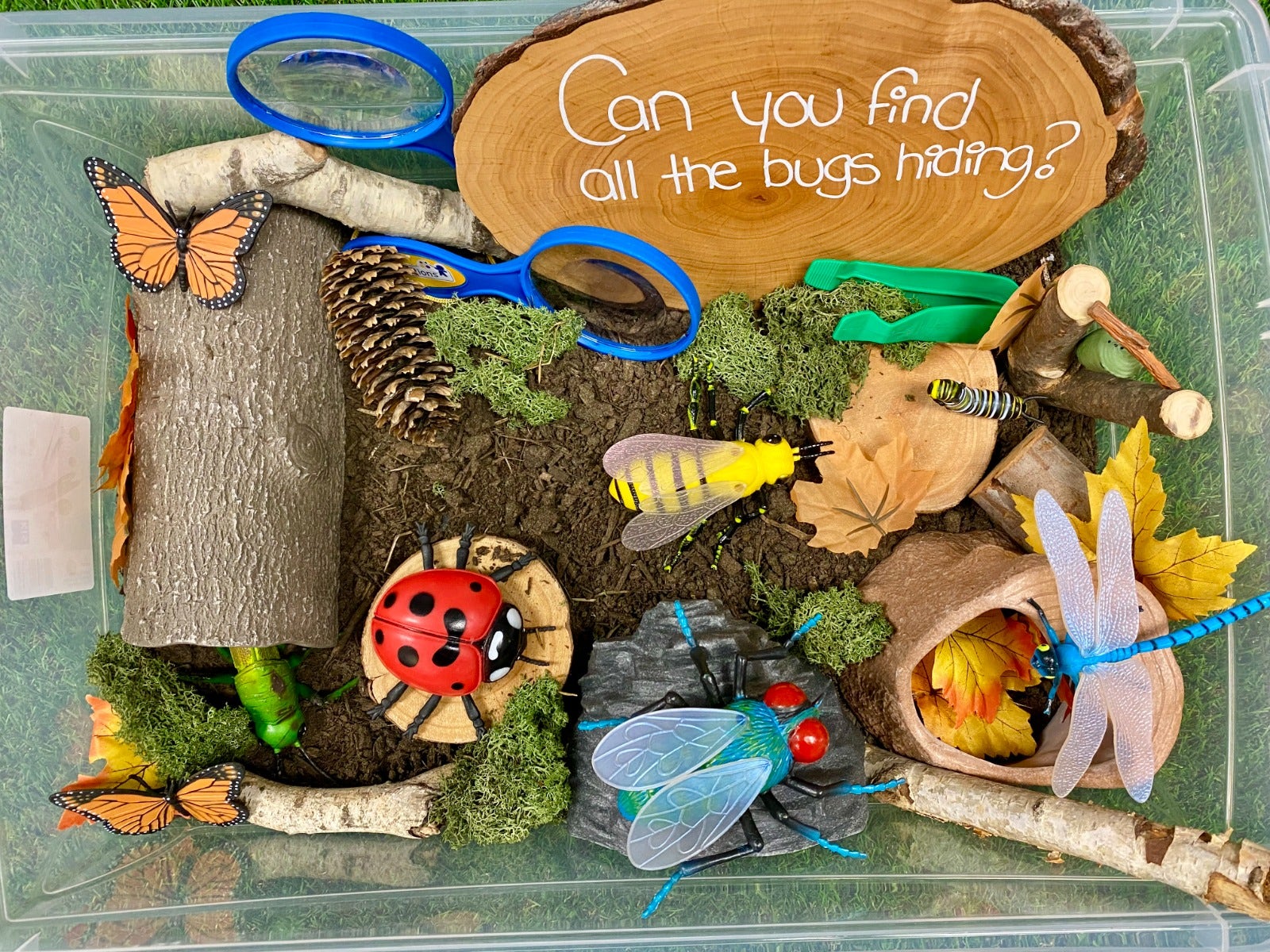 Jumbo Insects - Image 2