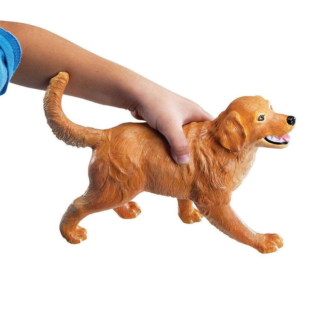 Jumbo Pets - Image 3