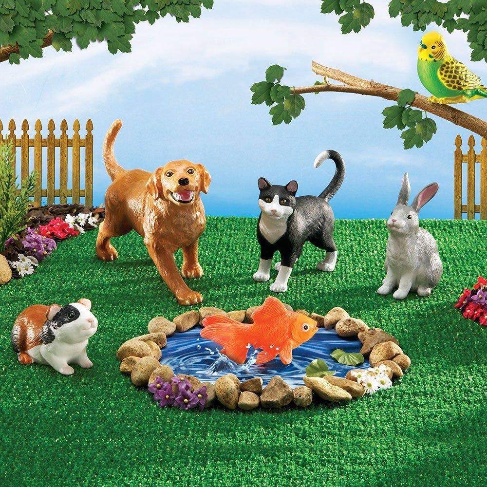 Jumbo Pets - Image 4