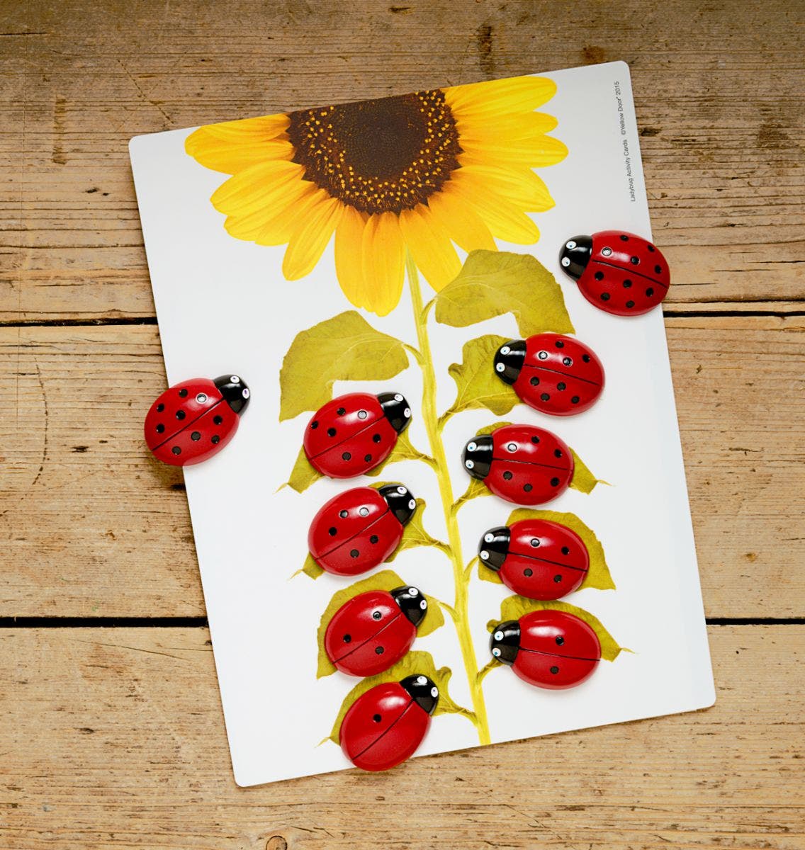 Ladybugs Early Number Cards - Image 2