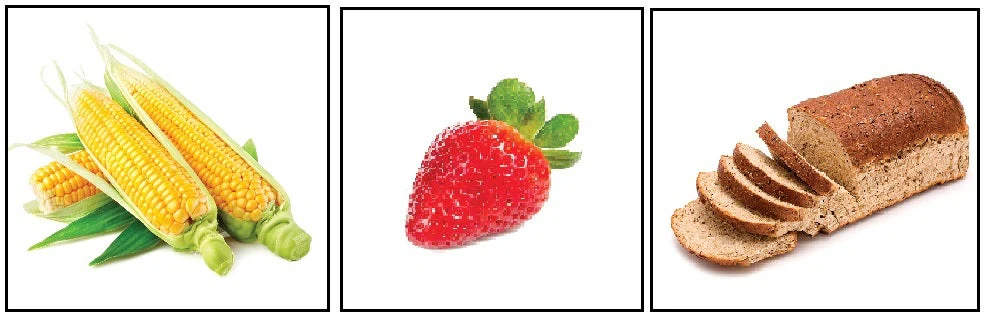 lalimentation Flashcards