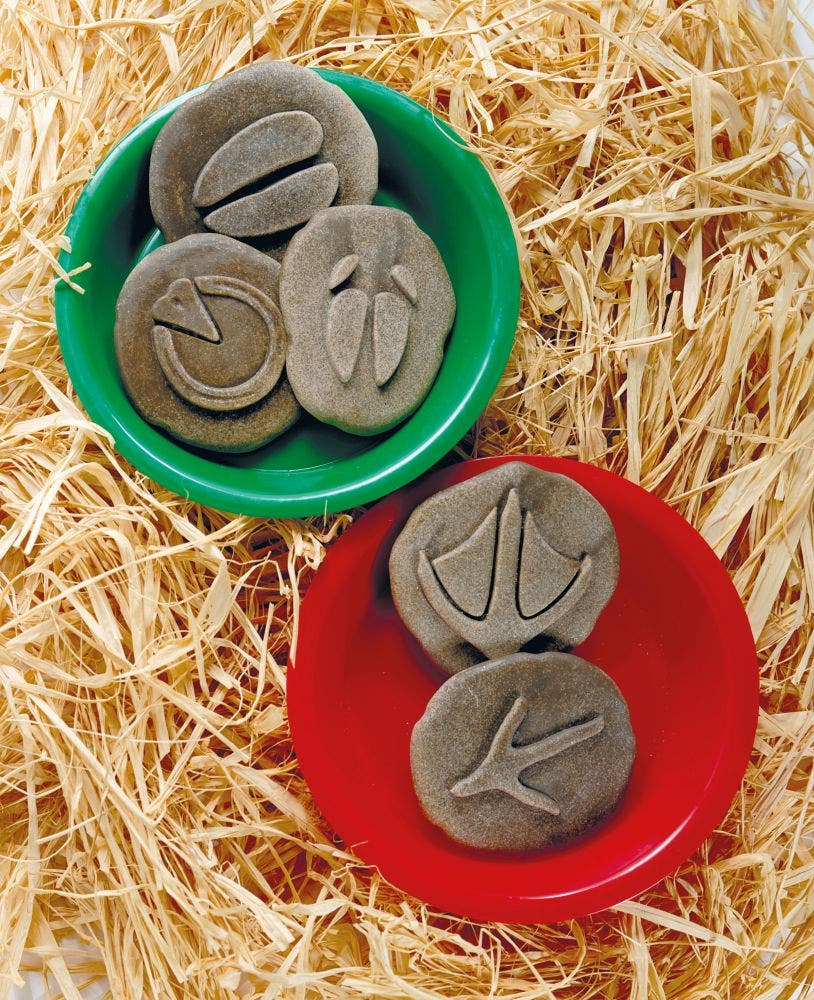 Lets Investigate Farmyard Footprints Stones - Image 3