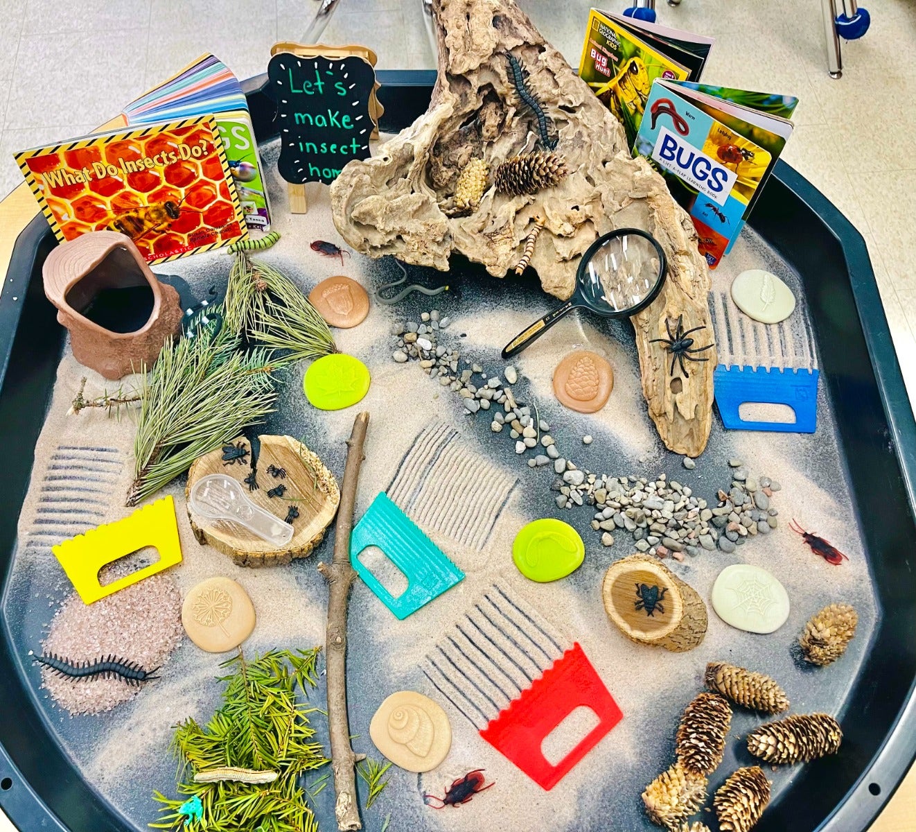 Lets Investigate Nature - Image 6