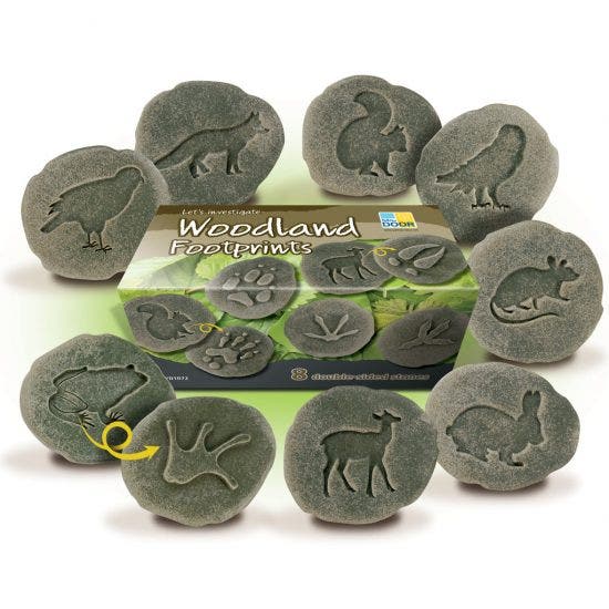 Lets Investigate Woodland Footprints