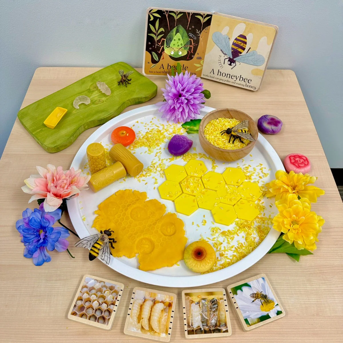 Life Cycle of a Honey Bee - Image 2