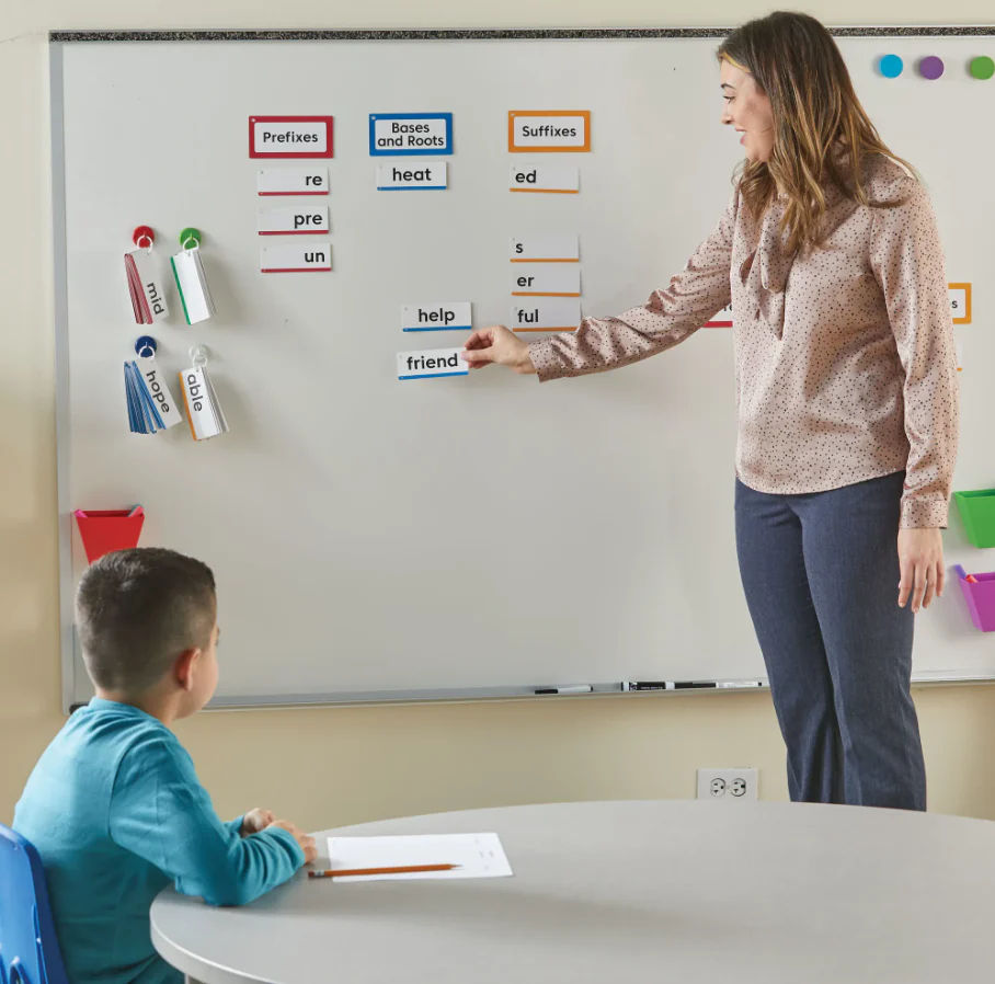 Morphology Wall Card Set - Image 4
