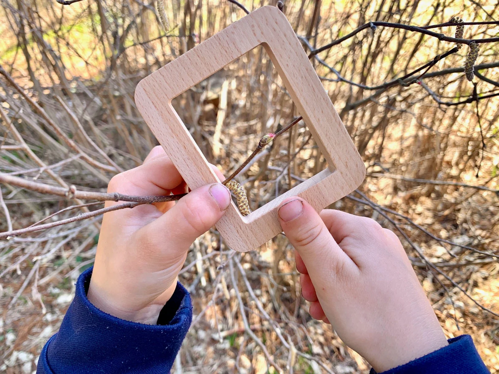 Natural Shape Viewers - Image 4