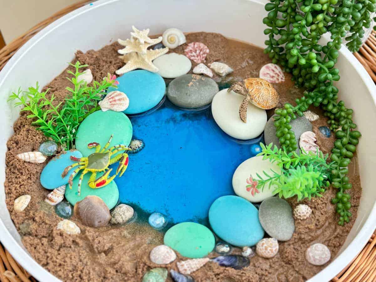 Natural Sorting Stones Nature Collection - Image 3