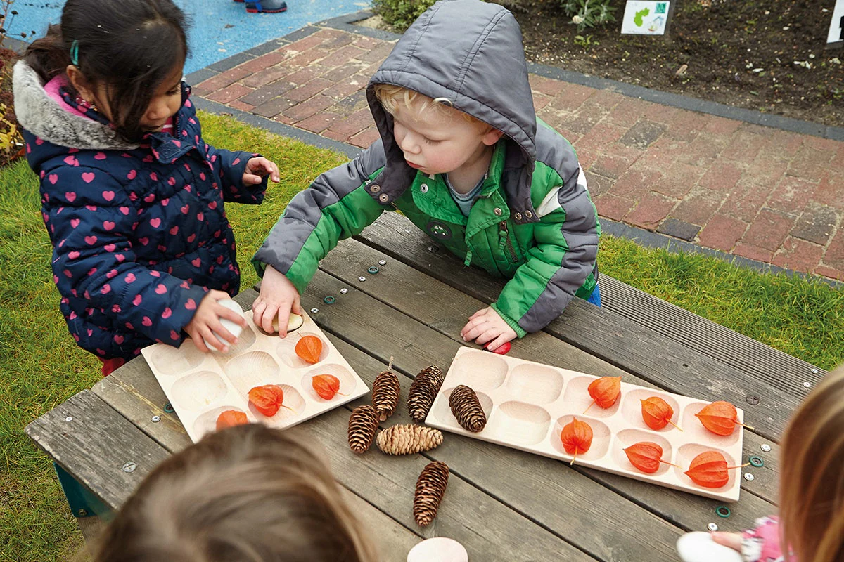 Natural Sorting Tray - Image 4