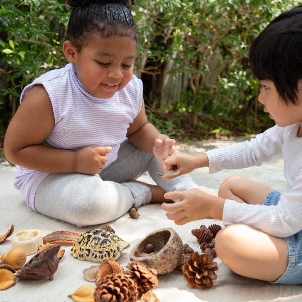 Nature's Geometry Loose Parts STEM Kit - Image 2