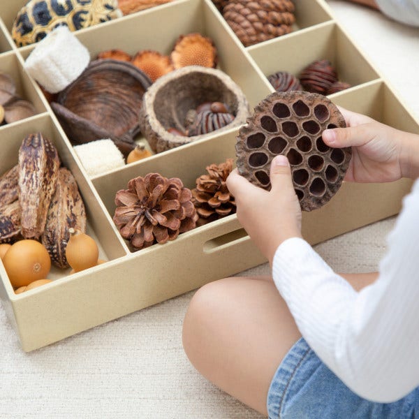 Nature's Geometry Loose Parts STEM Kit - Image 5