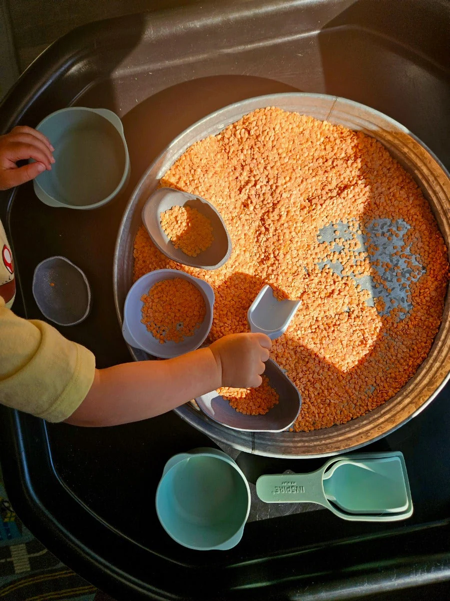 Nesting Scoops for PlayTRAY - Image 6