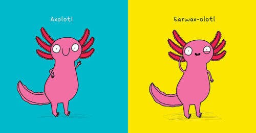 No One Really Knows an Axolotl - Image 3