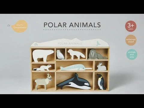 Polar Animals - Image 7