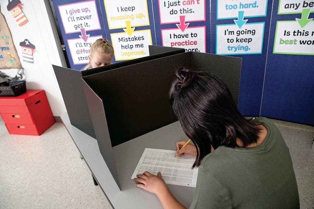 Privacy Boards - Image 5