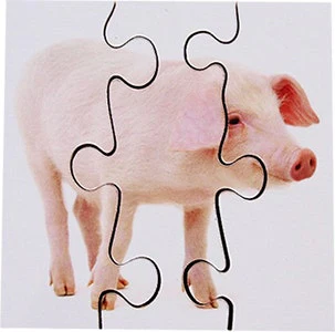 Real Life First Puzzles Farm - Image 4