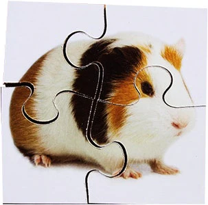 Real Life First Puzzles Pets - Image 3