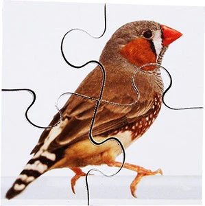 Real Life First Puzzles Pets - Image 5