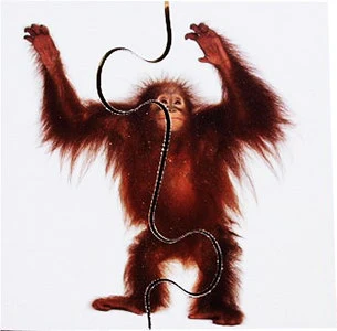 Real Life First Puzzles Wild Animals - Image 4