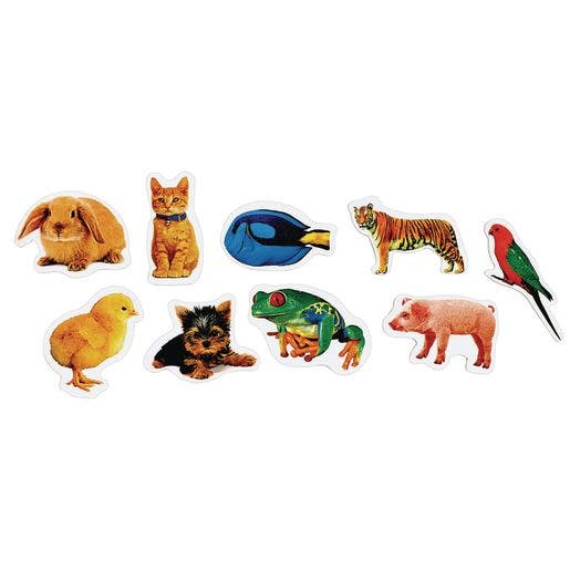 Real Photo Animal Foam Stickers 250 Pc - Image 2